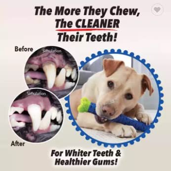 Version 1.0.0 Version 1.0.0