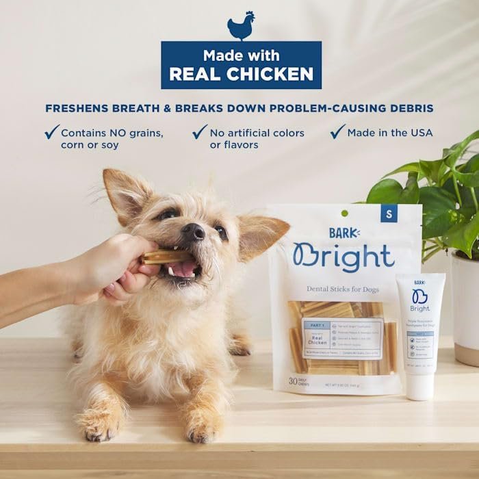 Version 1.0.0 Version 1.0.0