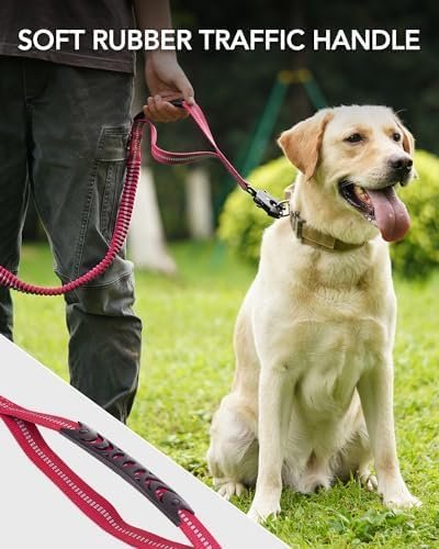 51f1e9h3qiL._AC_.jpg 51f1e9h3qiL._AC_.jpg