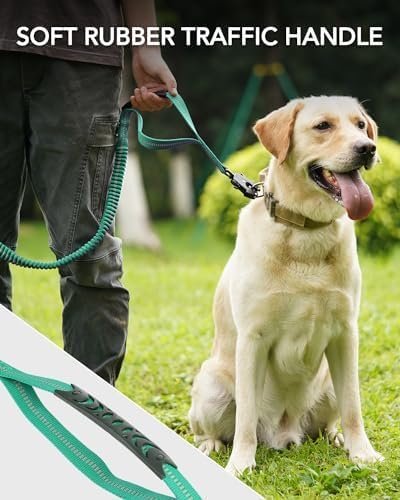 51jJFsHV4nL._AC_.jpg 51jJFsHV4nL._AC_.jpg