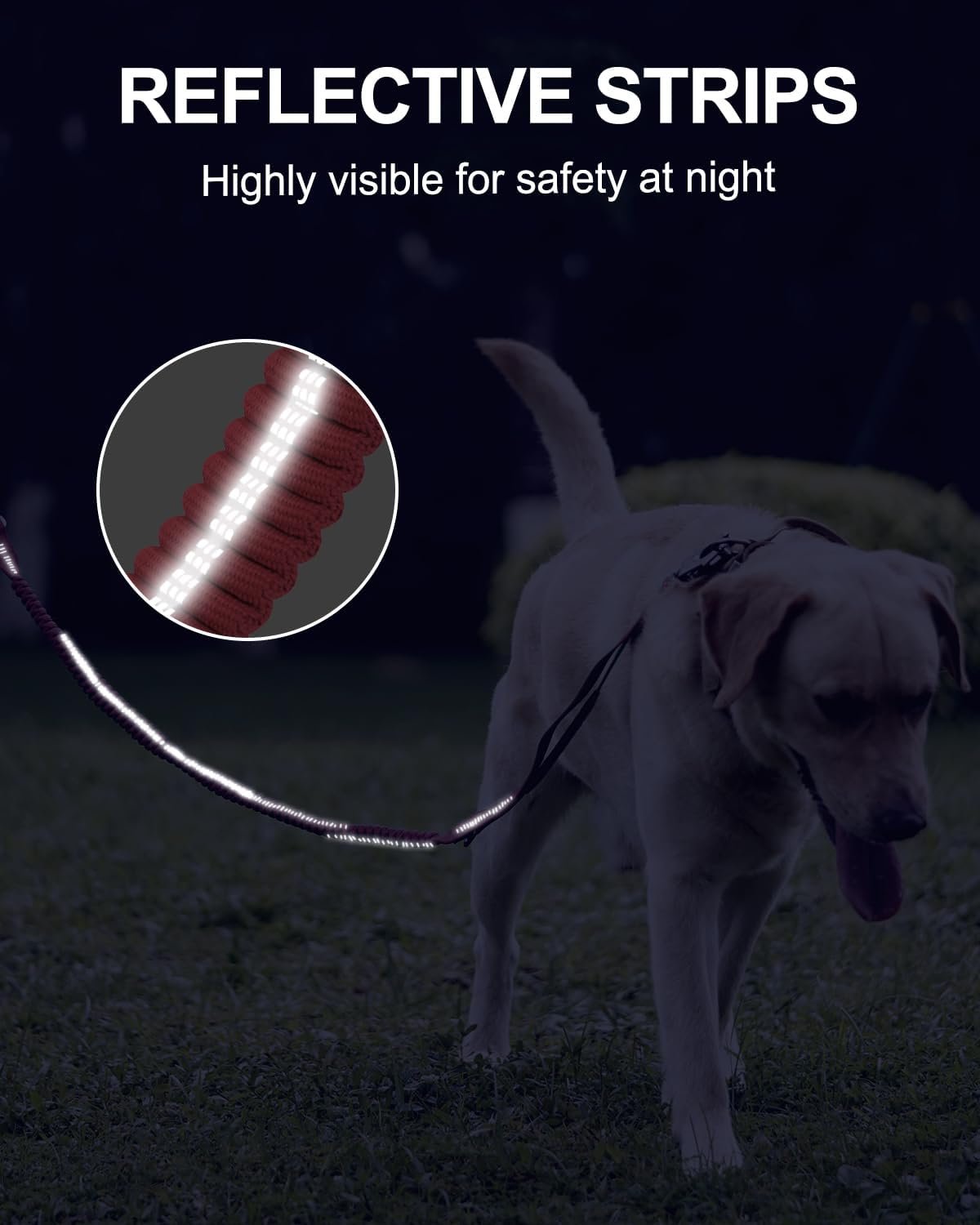 611mtgLc0XL._AC_SL1500_.jpg 611mtgLc0XL._AC_SL1500_.jpg