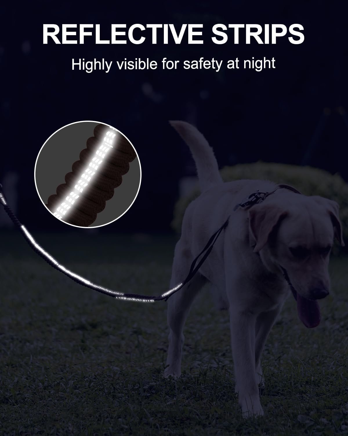 61EgKT58vHL._AC_SL1500_.jpg 61EgKT58vHL._AC_SL1500_.jpg