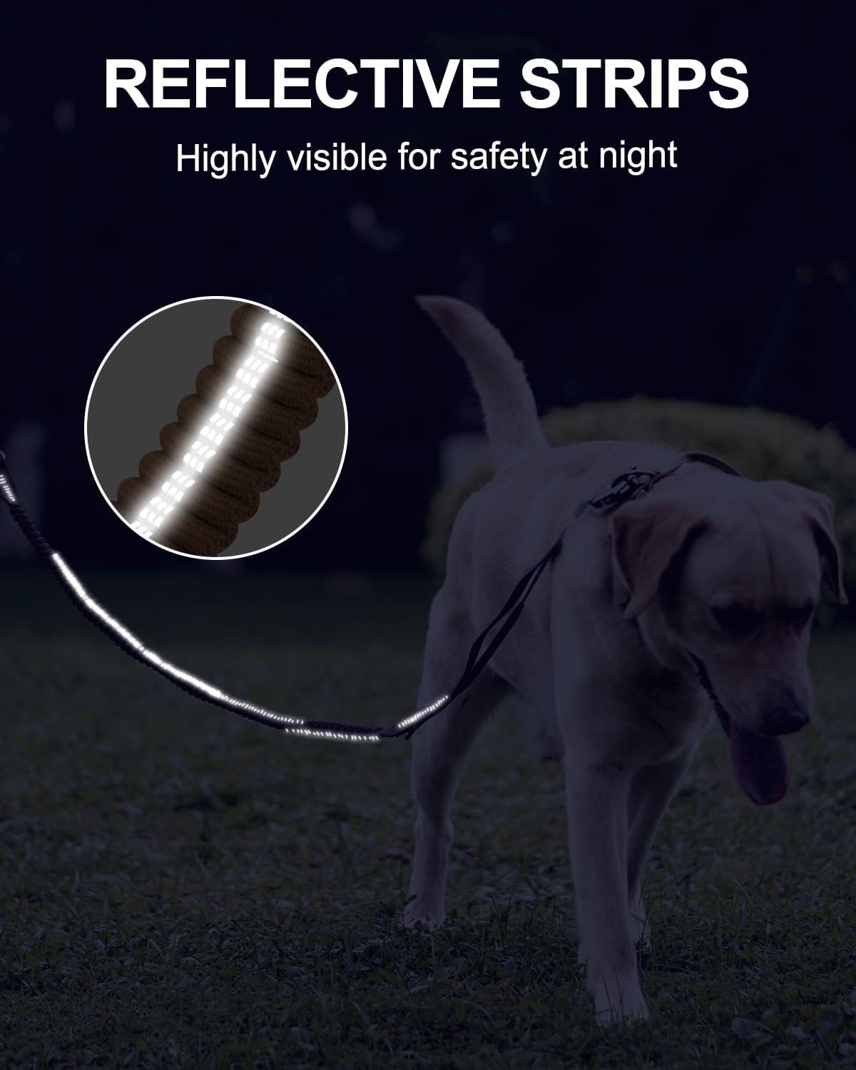 61KX-trf1JL._AC_SL1500_.jpg 61KX-trf1JL._AC_SL1500_.jpg