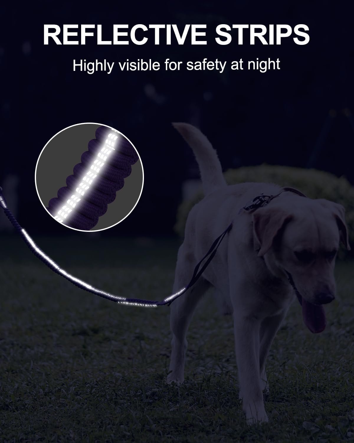 61MIyJR3GpL._AC_SL1500_.jpg 61MIyJR3GpL._AC_SL1500_.jpg