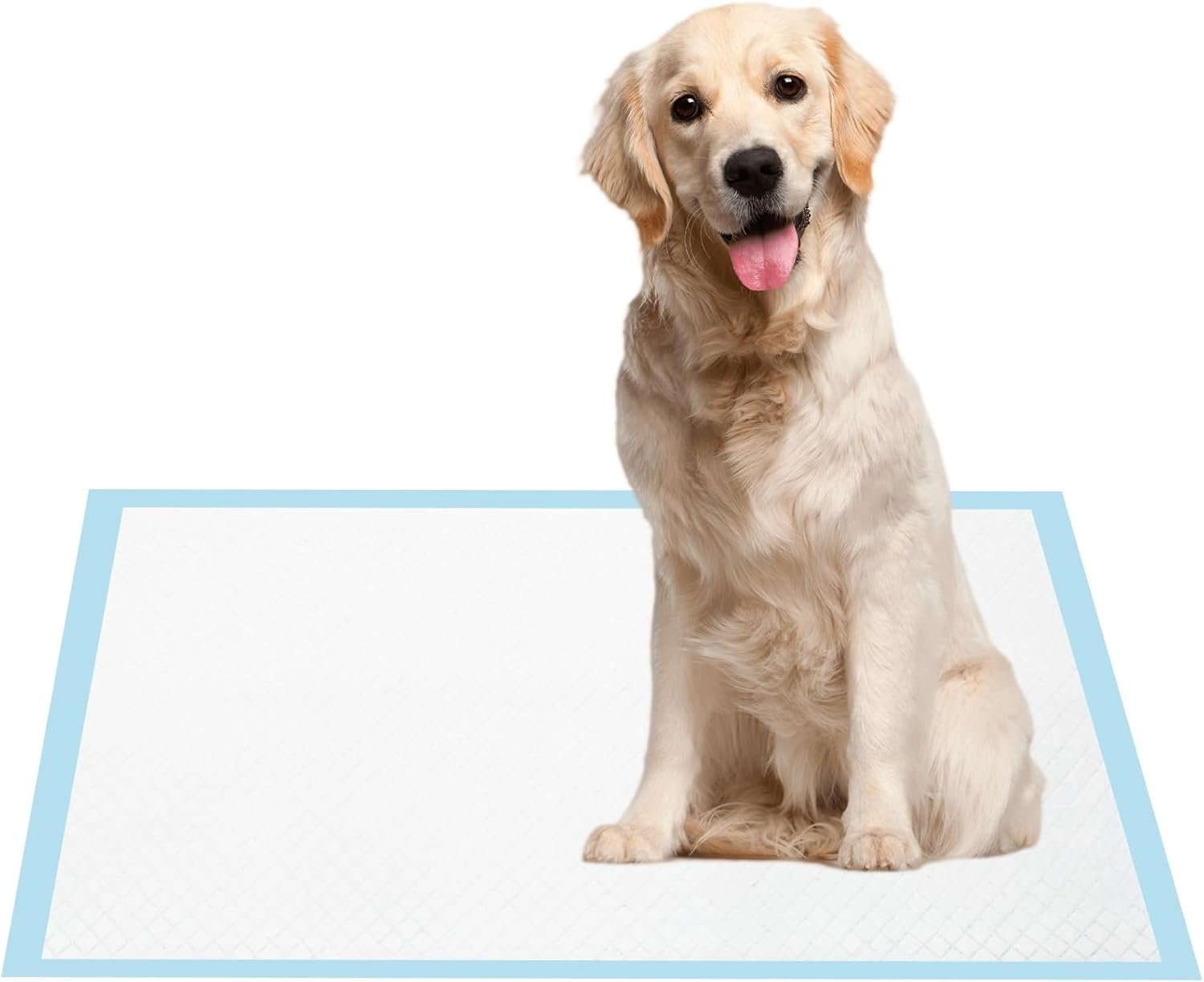 61NKVwVFugL._AC_SL1500_.jpg 61NKVwVFugL._AC_SL1500_.jpg