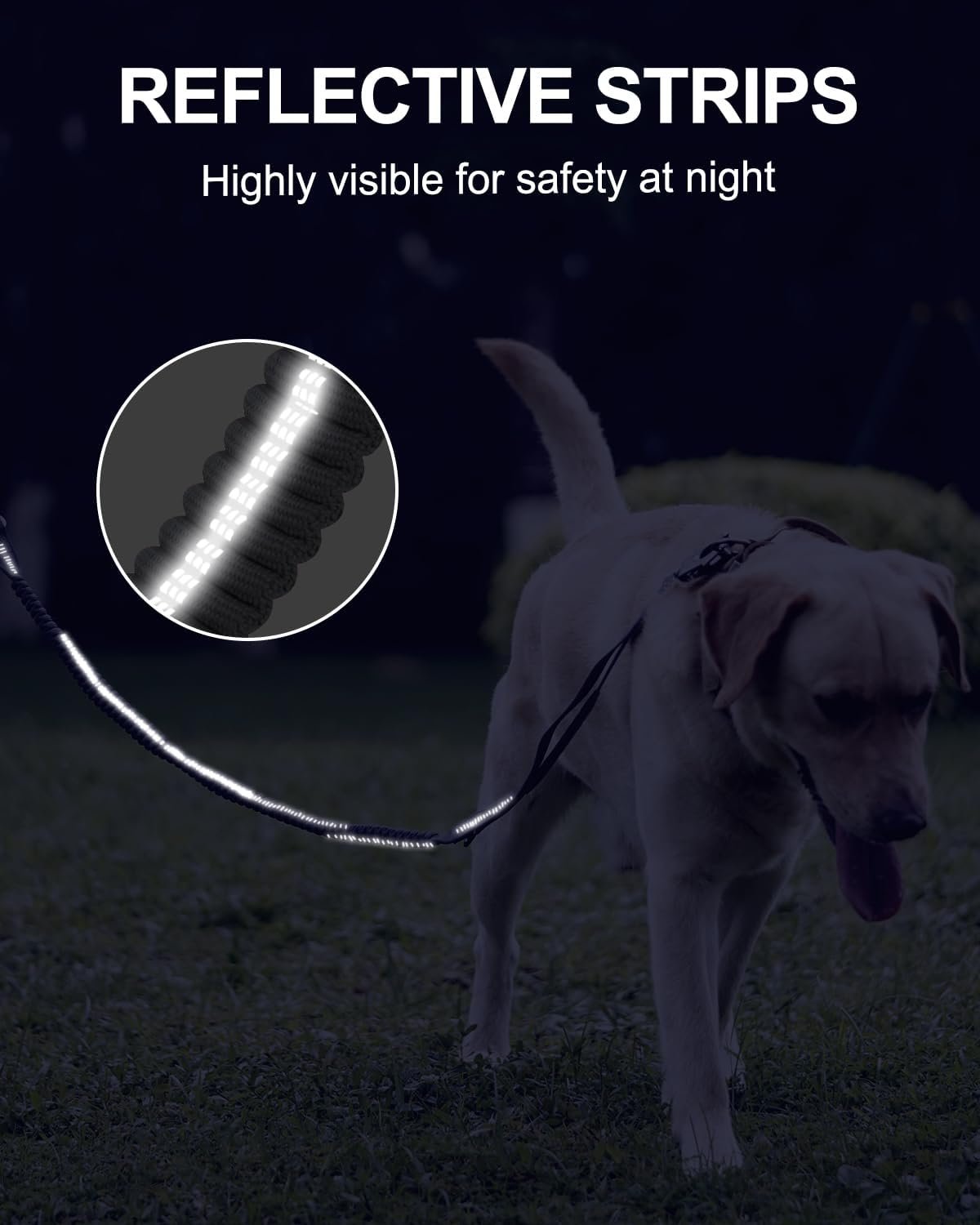 61O36Lcj0yL._AC_SL1500_.jpg 61O36Lcj0yL._AC_SL1500_.jpg