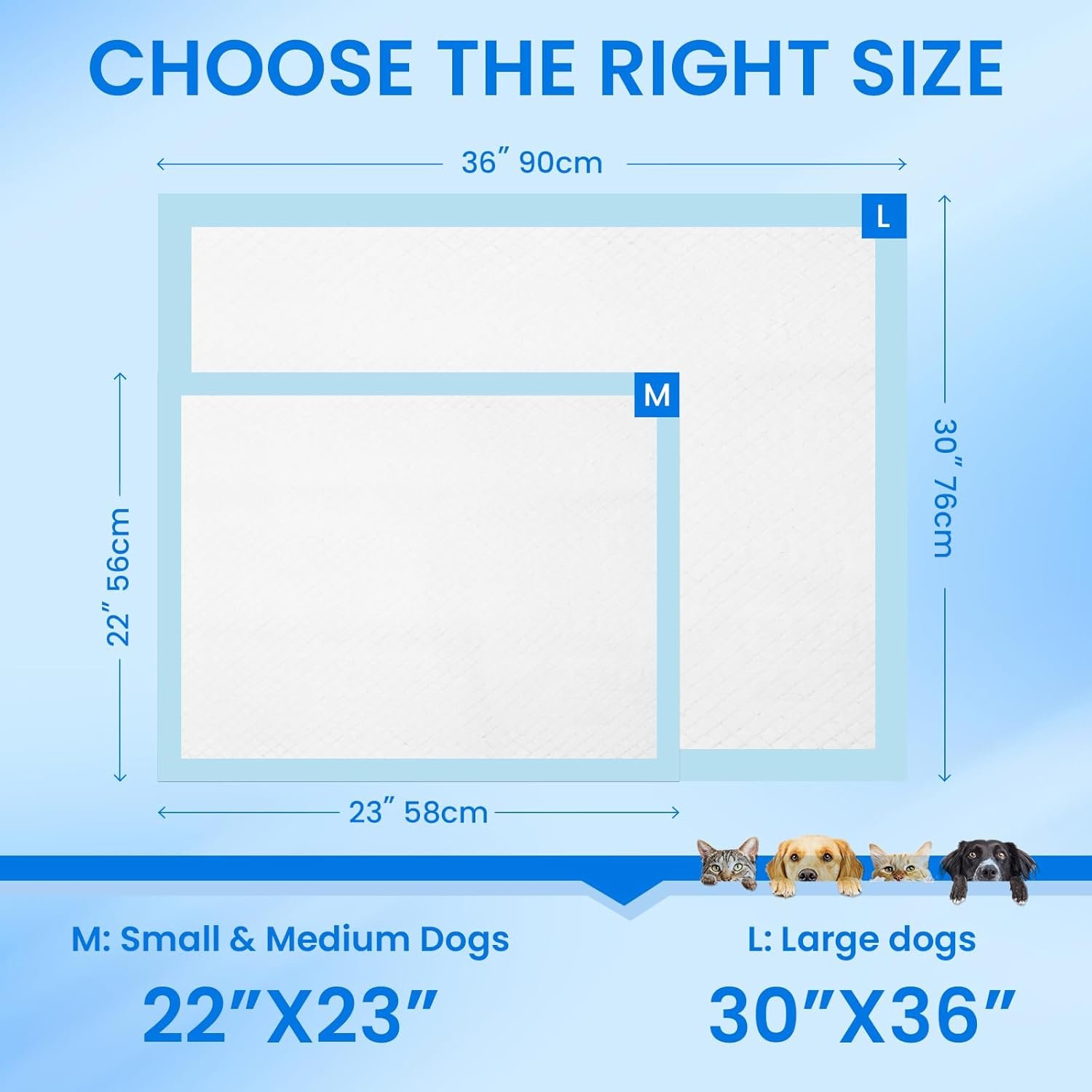 61R0wgN31PL._AC_SL1500_.jpg 61R0wgN31PL._AC_SL1500_.jpg