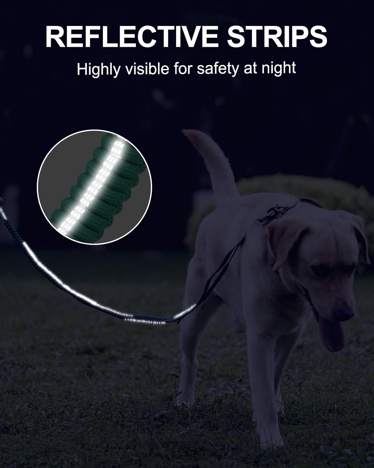 61fj9fIAVVL._AC_SL1500_.jpg 61fj9fIAVVL._AC_SL1500_.jpg