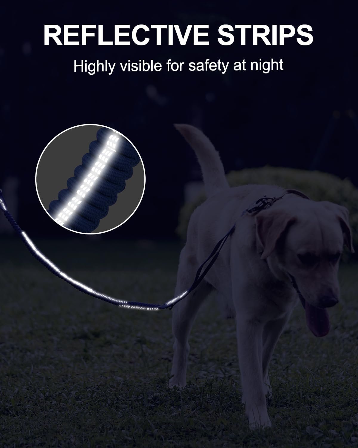 61iUb-nL7zL._AC_SL1500_.jpg 61iUb-nL7zL._AC_SL1500_.jpg