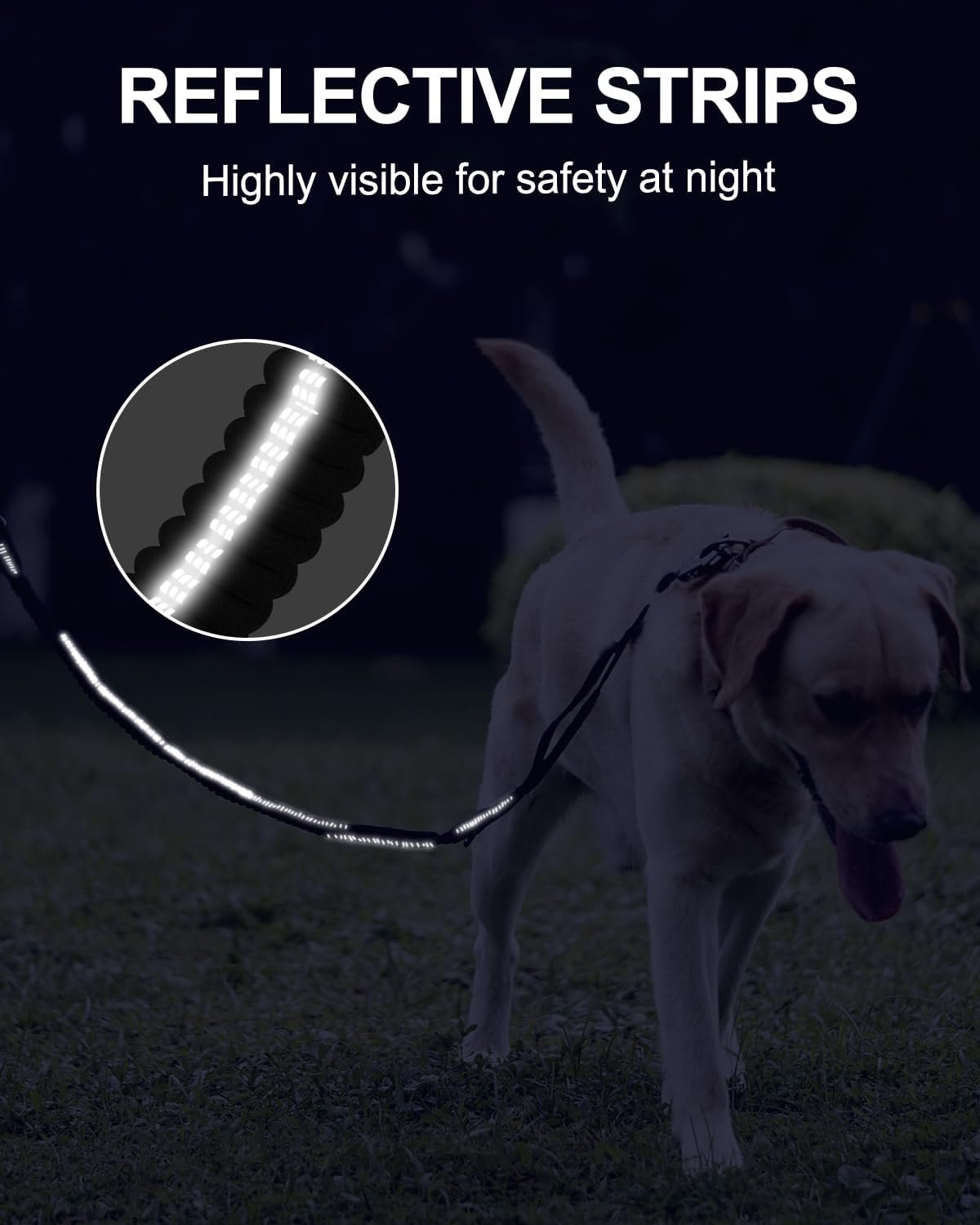 61qlf4zzR-L._AC_SL1500_.jpg 61qlf4zzR-L._AC_SL1500_.jpg