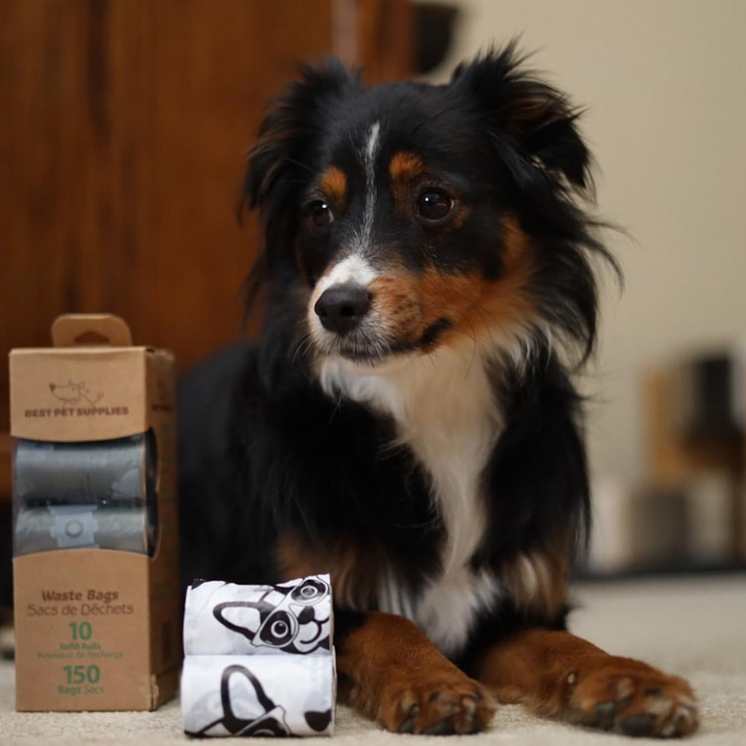 61rdbmQOSKL._AC_SL1500_.jpg 61rdbmQOSKL._AC_SL1500_.jpg