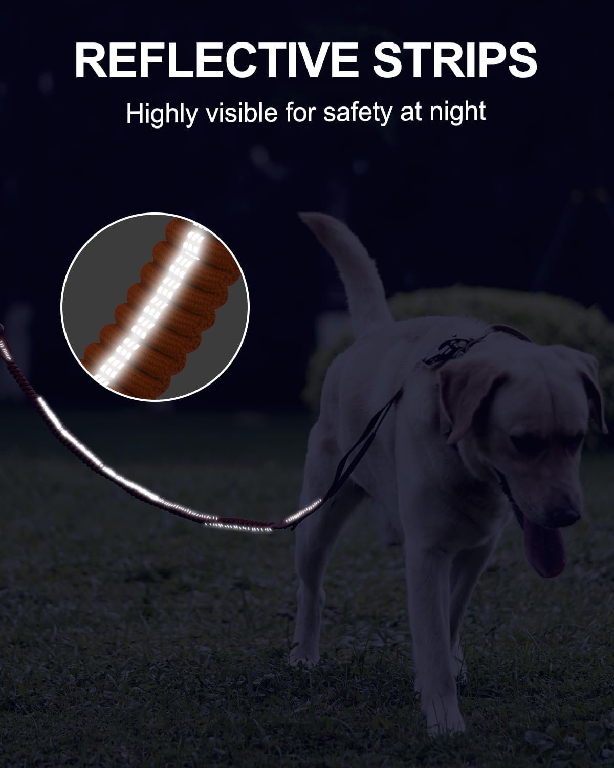 61sM5h0SuL._AC_SL1500_.jpg 61sM5h0SuL._AC_SL1500_.jpg