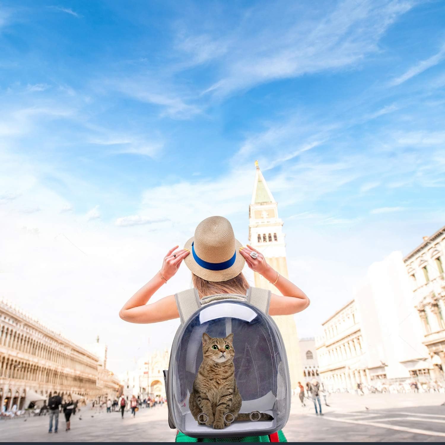 71-EUtOA5XL._AC_SL1500_.jpg 71-EUtOA5XL._AC_SL1500_.jpg