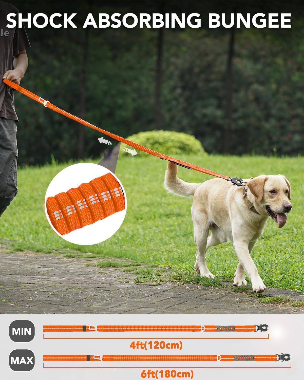 711FBeRiInL._AC_SL1500_.jpg 711FBeRiInL._AC_SL1500_.jpg