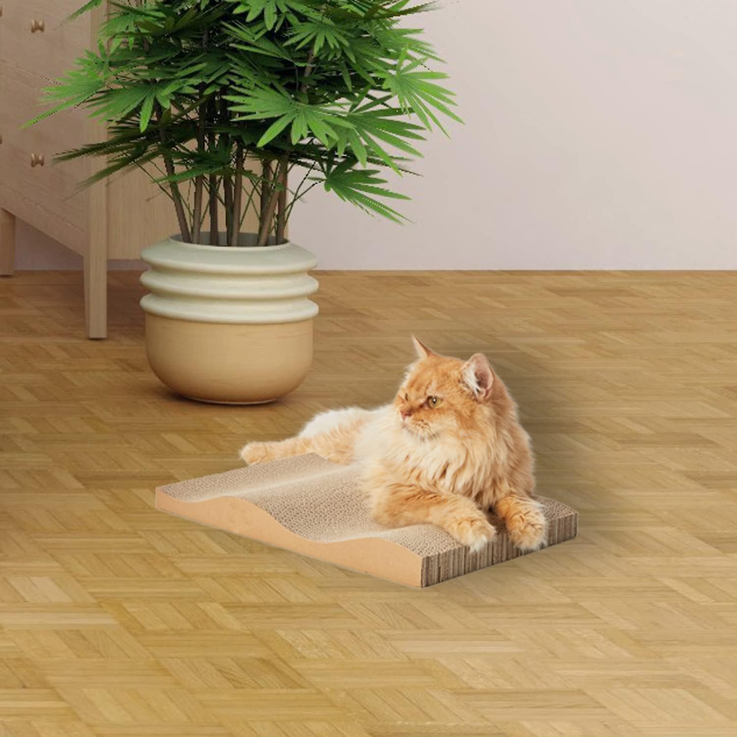 712Us5v1mVL._AC_SL1500_.jpg 712Us5v1mVL._AC_SL1500_.jpg