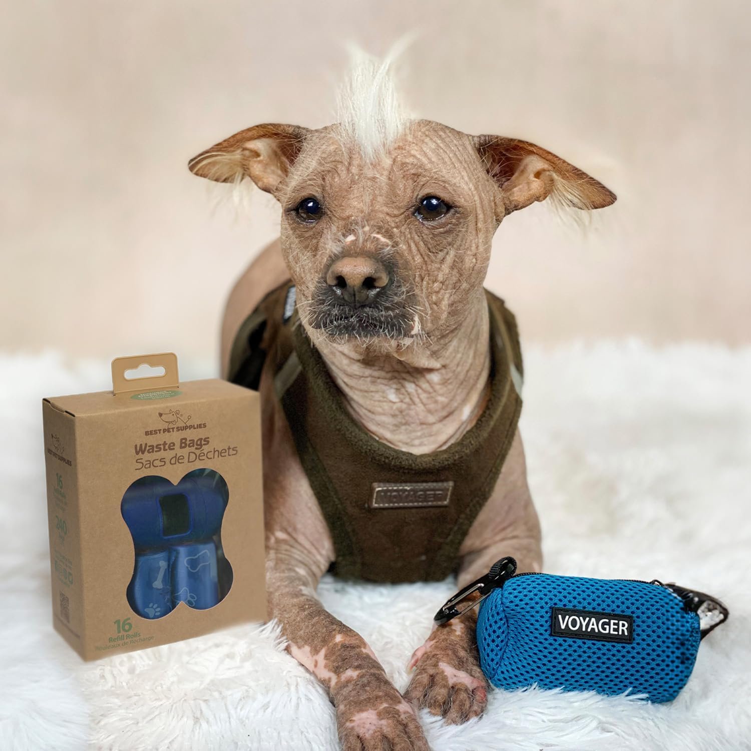 715WHdA5VTL._AC_SL1500_.jpg 715WHdA5VTL._AC_SL1500_.jpg