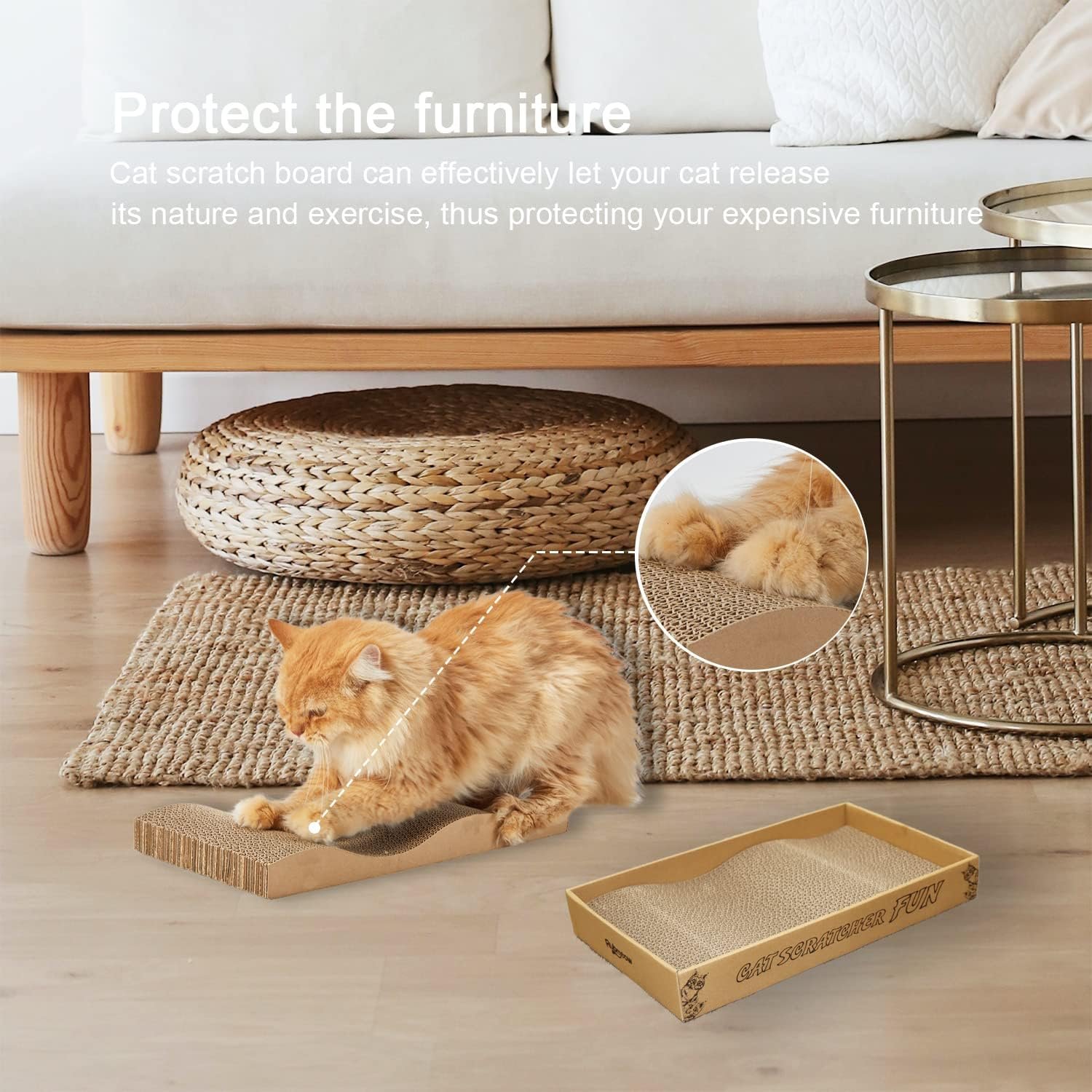 715zWq9ZoYL._AC_SL1500_.jpg 715zWq9ZoYL._AC_SL1500_.jpg