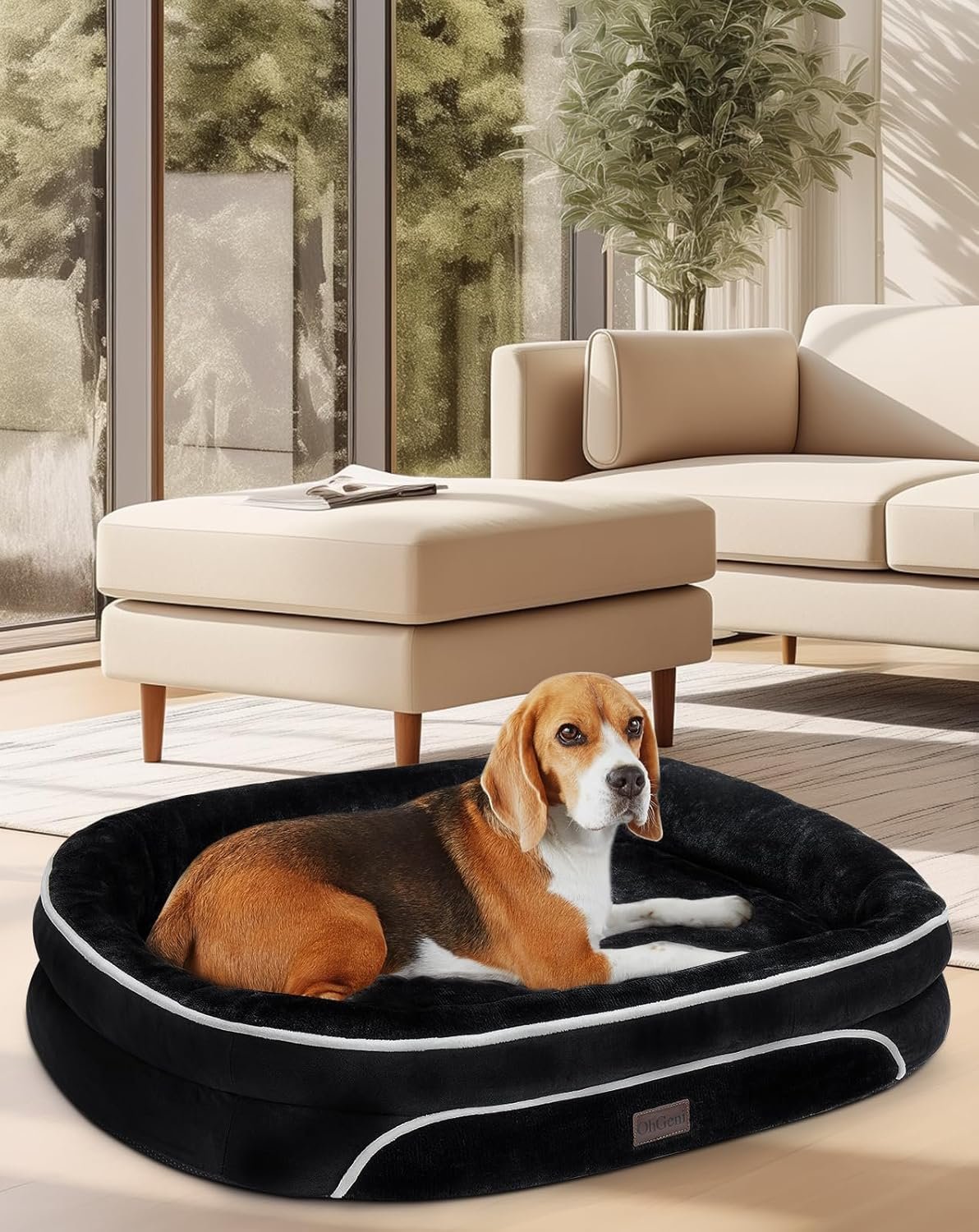 71CeySLsM3L._AC_SL1500_.jpg 71CeySLsM3L._AC_SL1500_.jpg