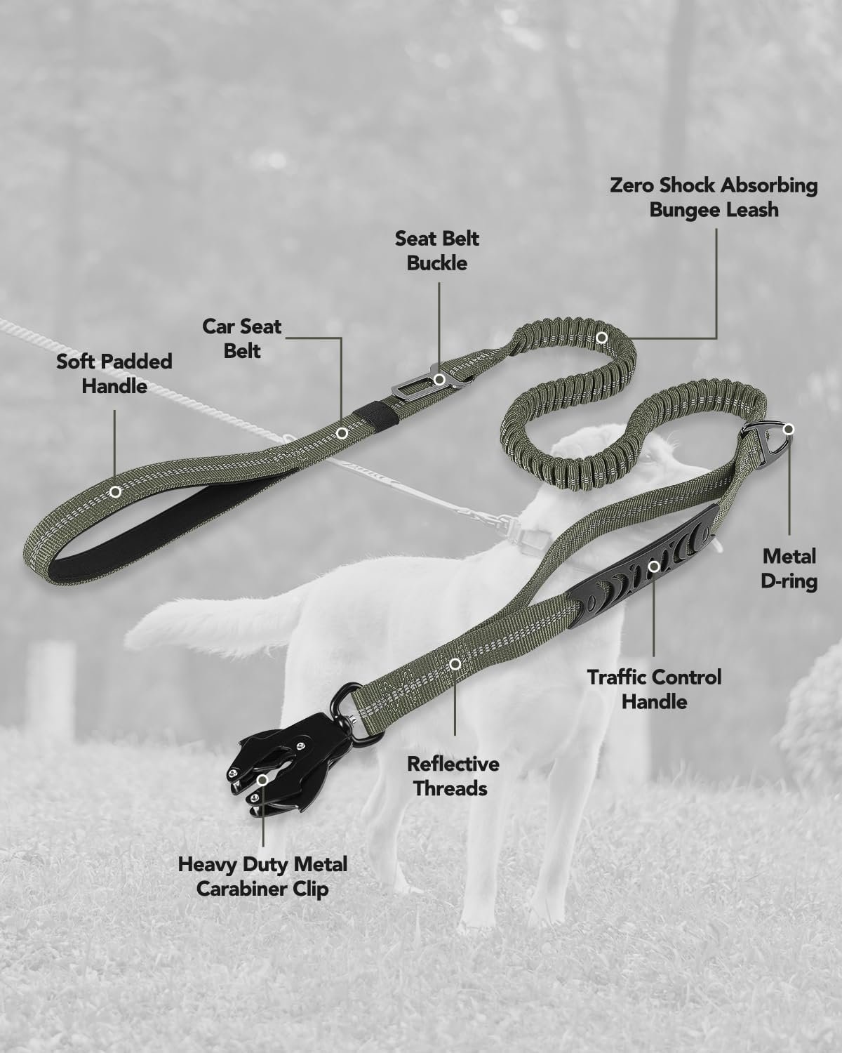 71G6t0fkNaL._AC_SL1500_.jpg 71G6t0fkNaL._AC_SL1500_.jpg