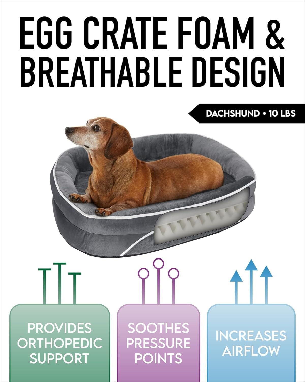 71GYkniV5wL._AC_SL1500_.jpg 71GYkniV5wL._AC_SL1500_.jpg