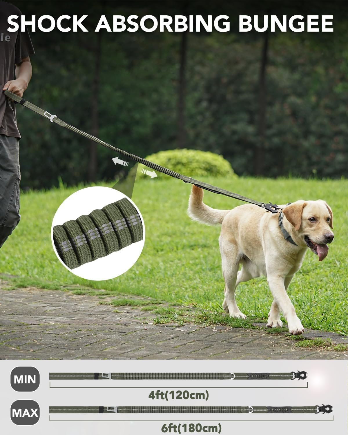 71IeVFpe3L._AC_SL1500_.jpg 71IeVFpe3L._AC_SL1500_.jpg