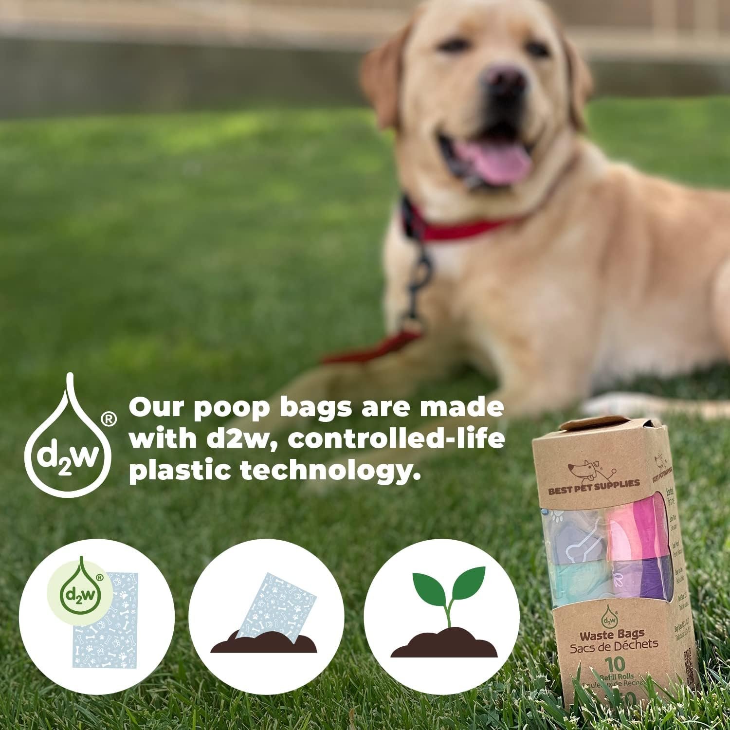 71OSQ8m92nL._AC_SL1500_.jpg 71OSQ8m92nL._AC_SL1500_.jpg