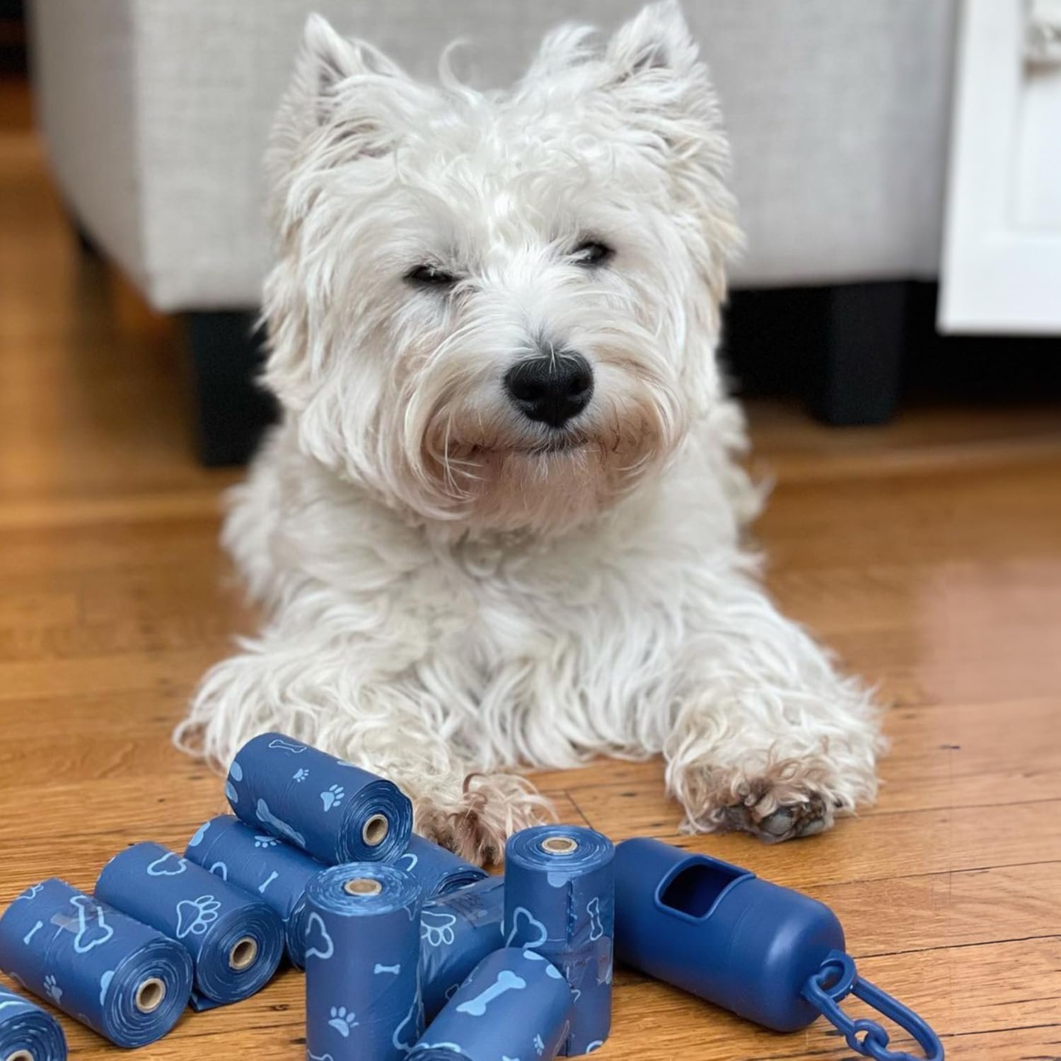 71Po9EZHb9L._AC_SL1500_.jpg 71Po9EZHb9L._AC_SL1500_.jpg