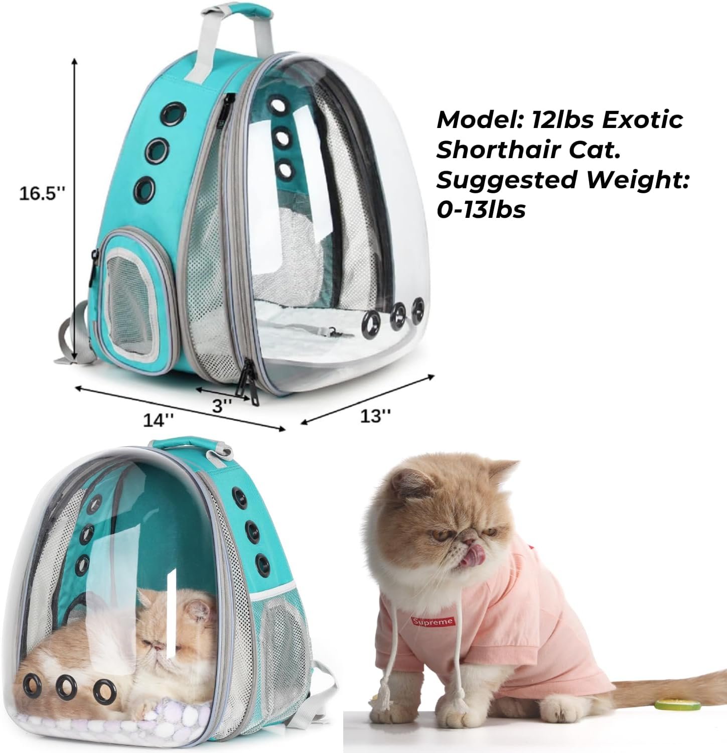 71ZJMBhSnPL._AC_SL1500_.jpg 71ZJMBhSnPL._AC_SL1500_.jpg