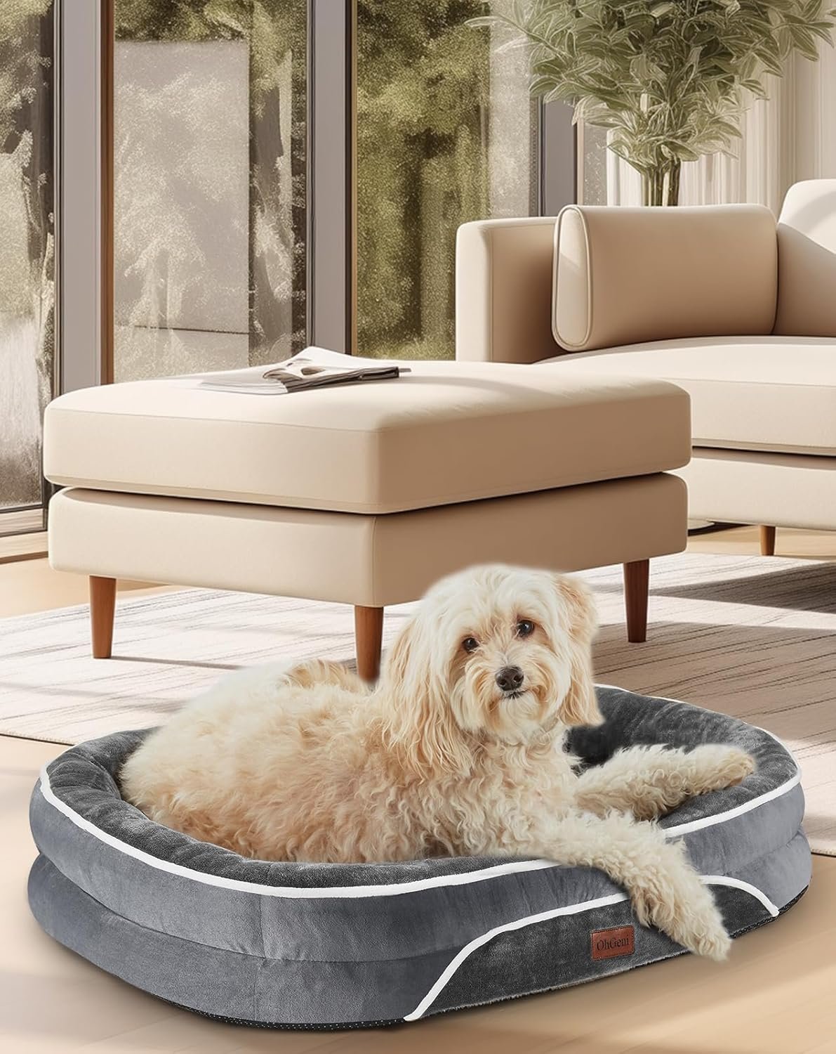 71ZSsjykQQL._AC_SL1500_.jpg 71ZSsjykQQL._AC_SL1500_.jpg