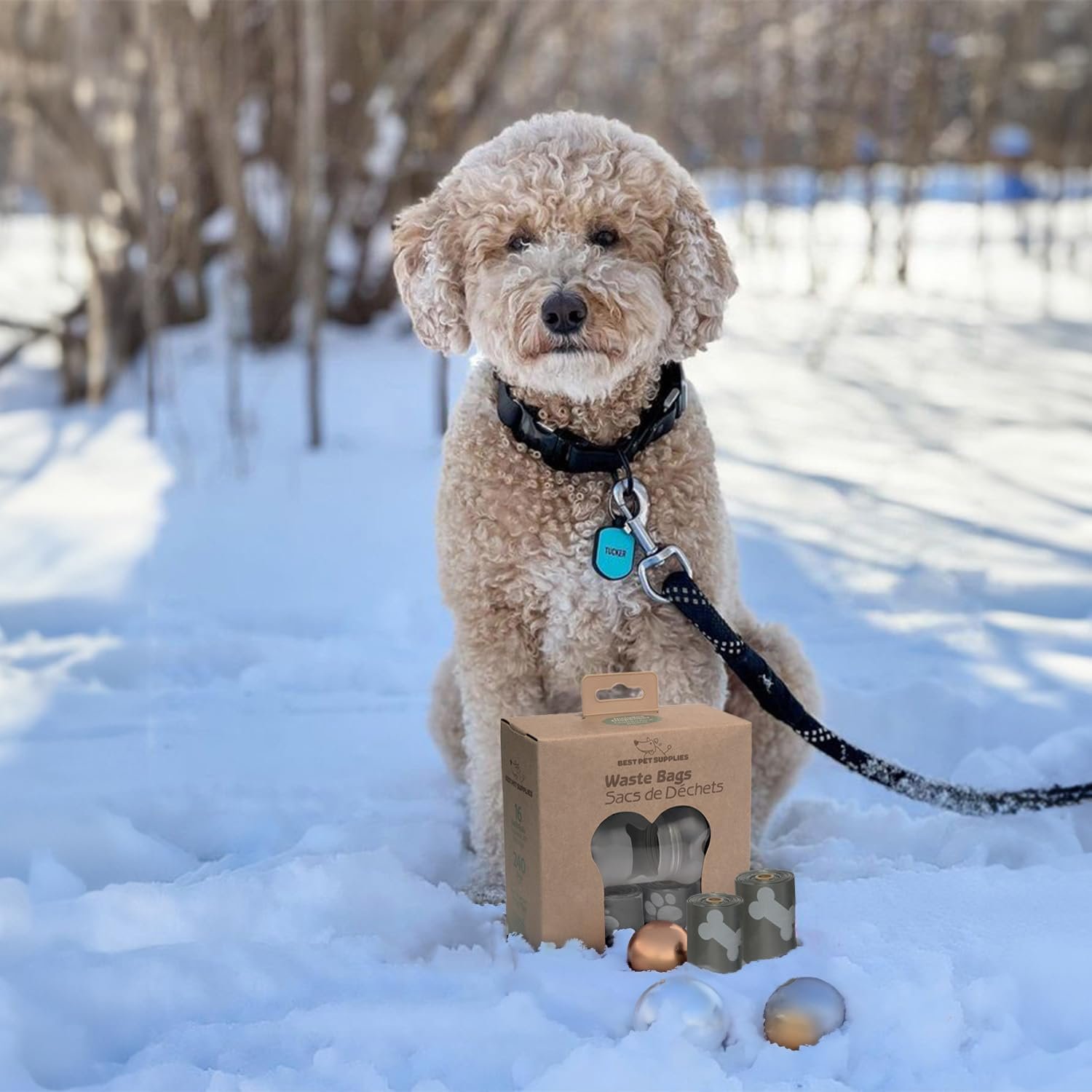 71bRtFbAofL._AC_SL1500_.jpg 71bRtFbAofL._AC_SL1500_.jpg