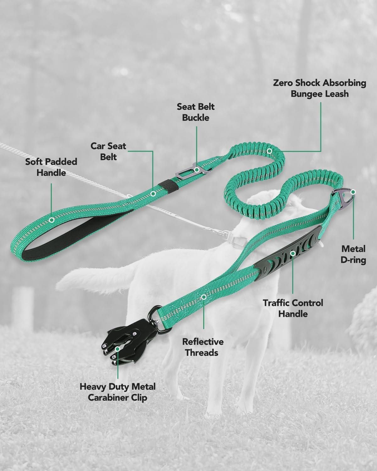 71dEWlmvOPL._AC_SL1500_.jpg 71dEWlmvOPL._AC_SL1500_.jpg