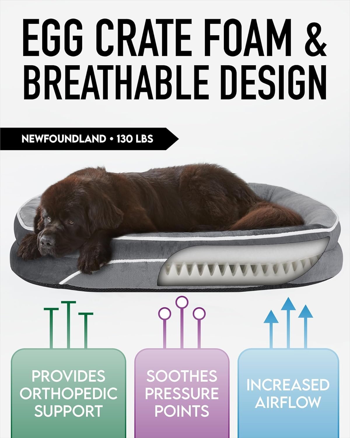 71hP58r9lxL._AC_SL1500_.jpg 71hP58r9lxL._AC_SL1500_.jpg