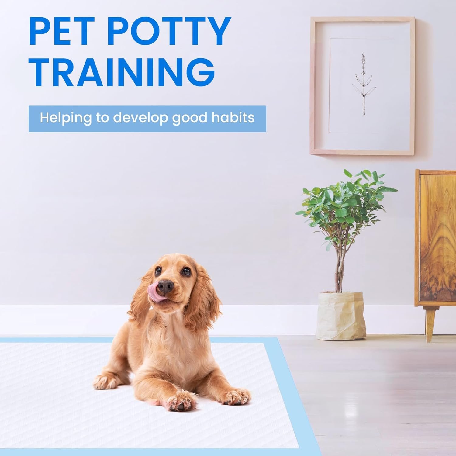 71hnATobdkL._AC_SL1500_.jpg 71hnATobdkL._AC_SL1500_.jpg