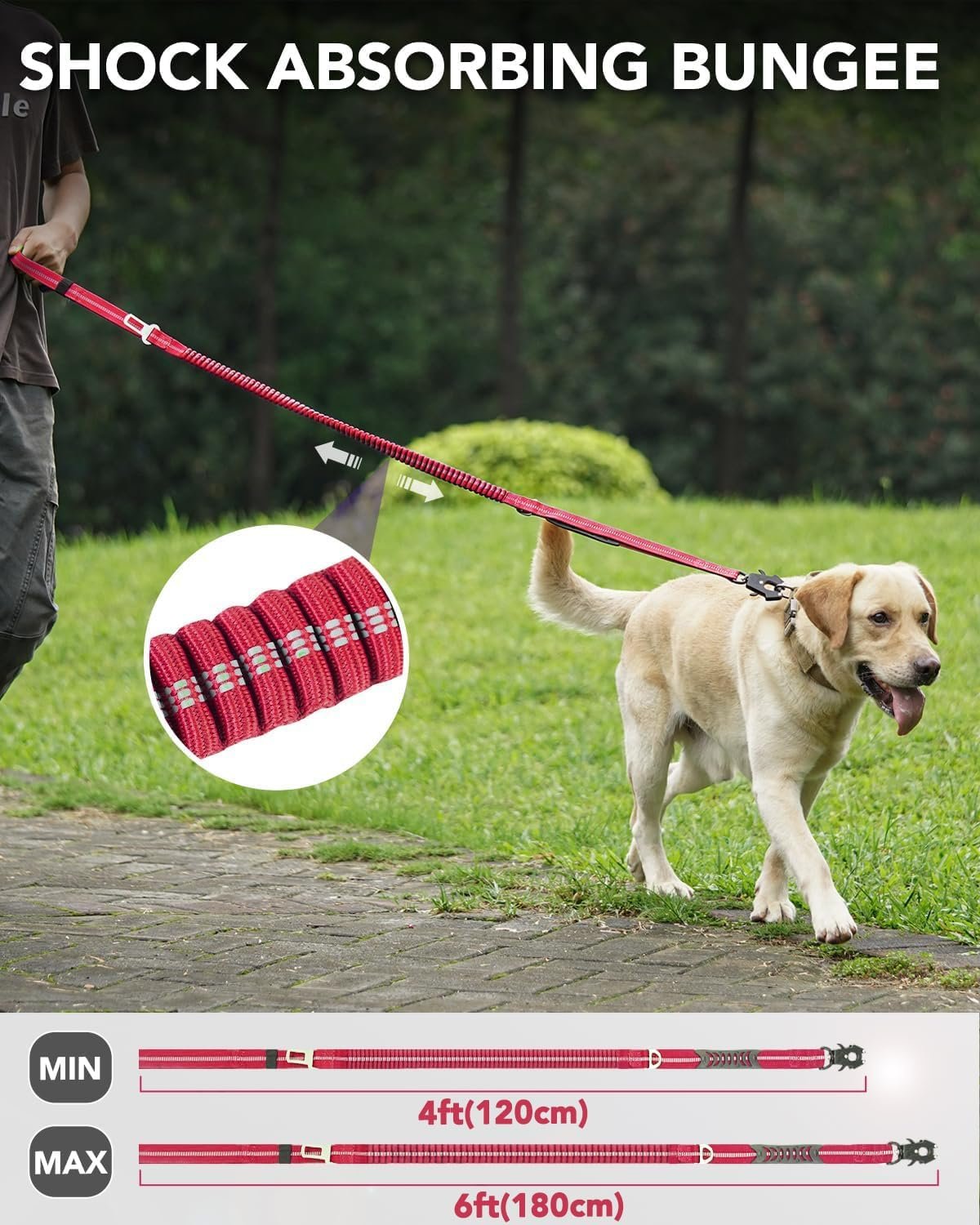 71i-9betTwL._AC_SL1500_.jpg 71i-9betTwL._AC_SL1500_.jpg