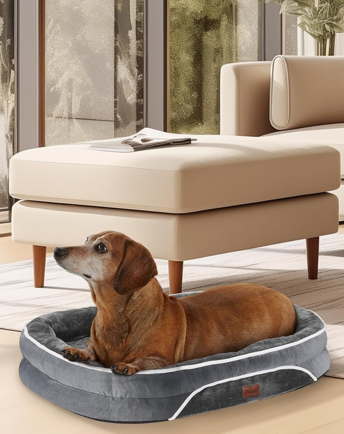 71k3jSk7nmL._AC_SL1500_.jpg 71k3jSk7nmL._AC_SL1500_.jpg