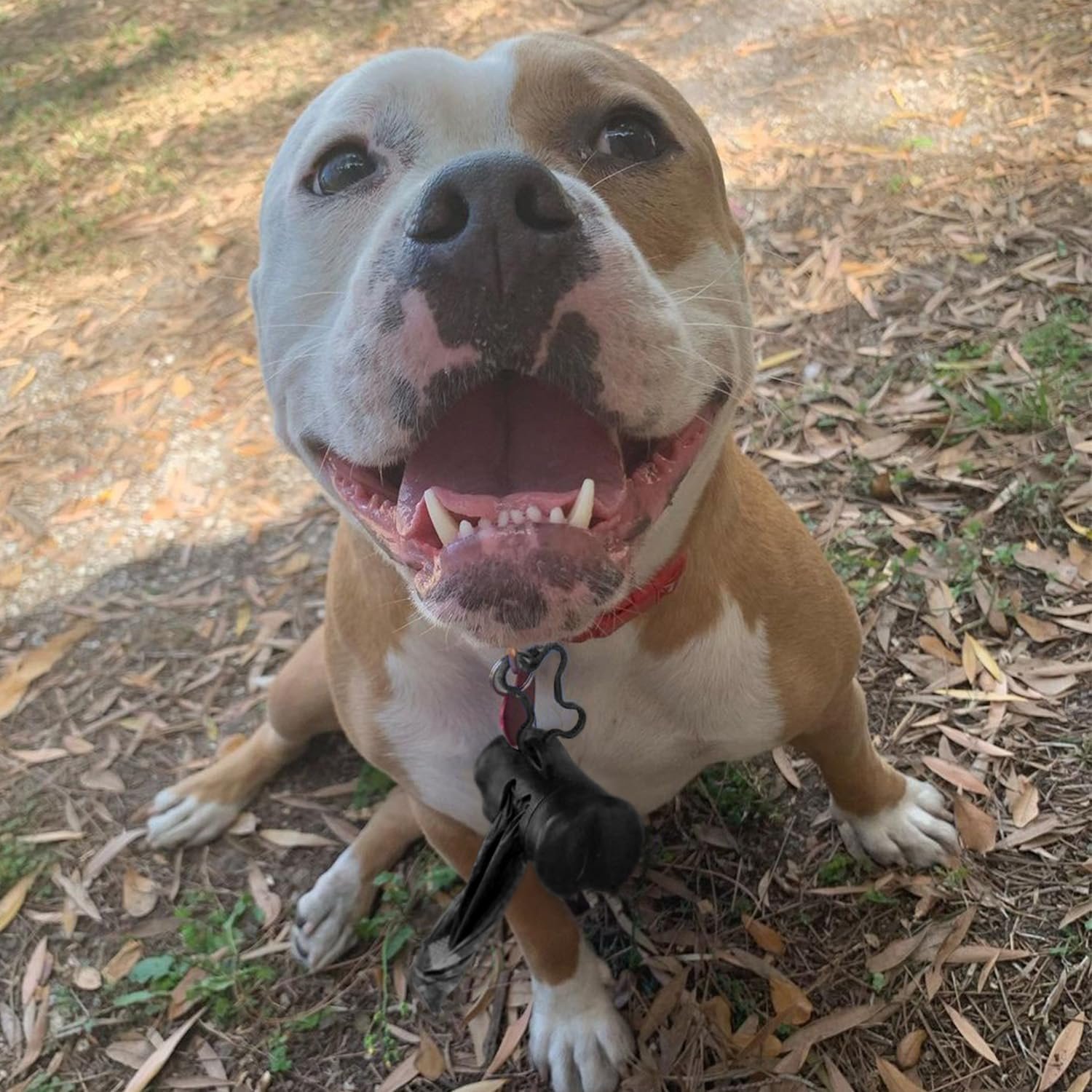 71oN53XkchL._AC_SL1500_.jpg 71oN53XkchL._AC_SL1500_.jpg