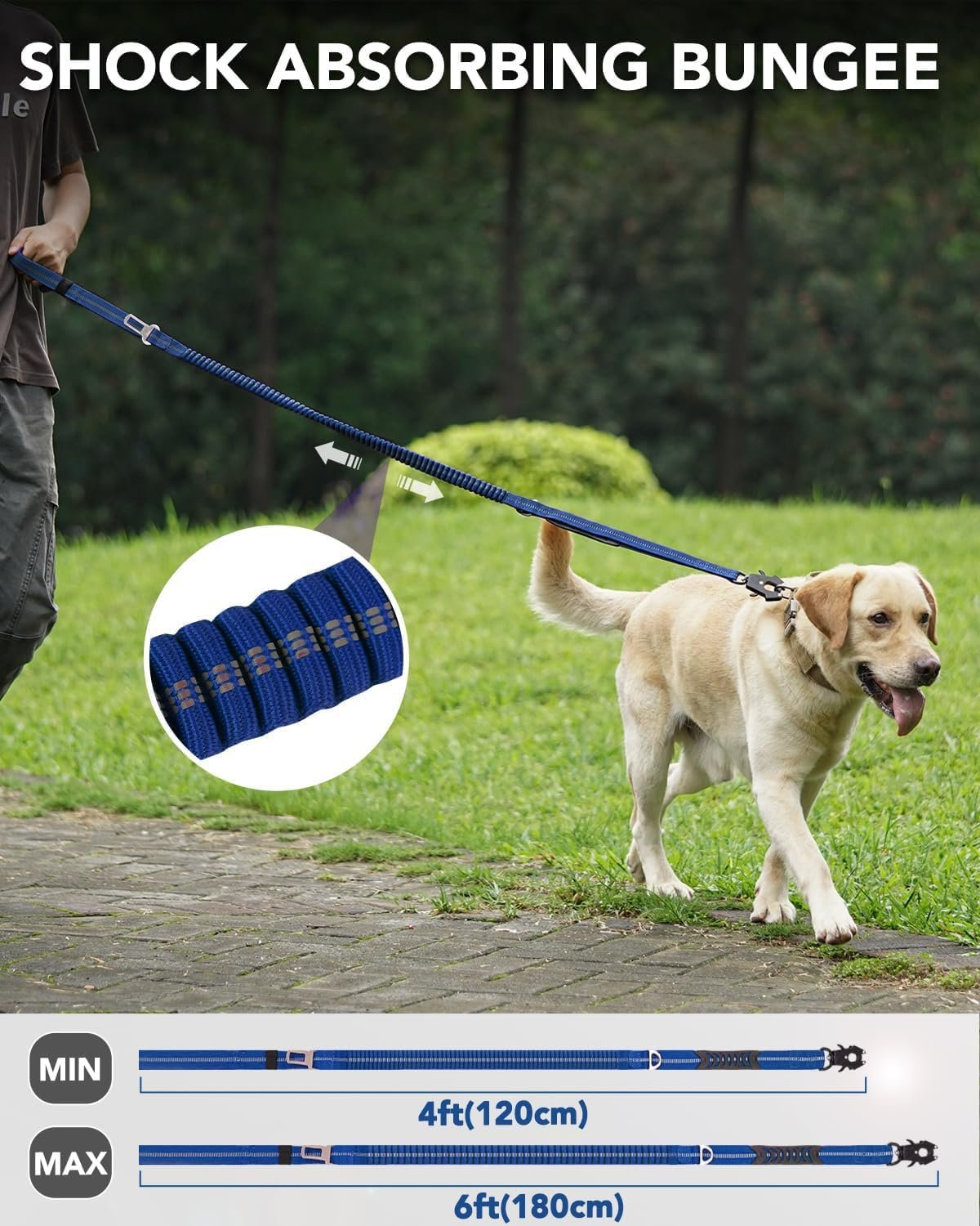 71qjp3MAGmL._AC_SL1500_.jpg 71qjp3MAGmL._AC_SL1500_.jpg