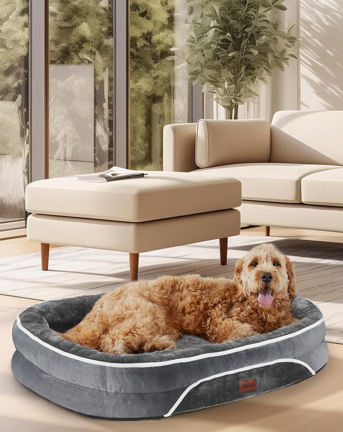 816ShrURhBL._AC_SL1500_.jpg 816ShrURhBL._AC_SL1500_.jpg