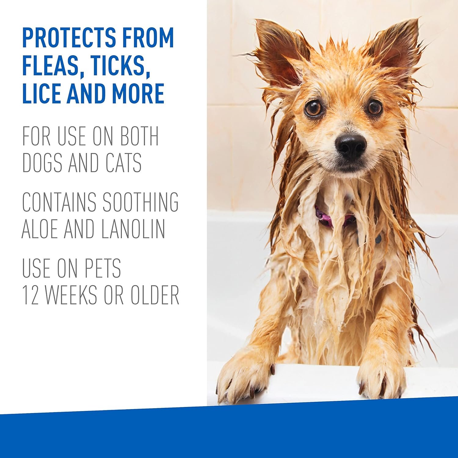 818jNx3SJtL._AC_SL1500_.jpg 818jNx3SJtL._AC_SL1500_.jpg