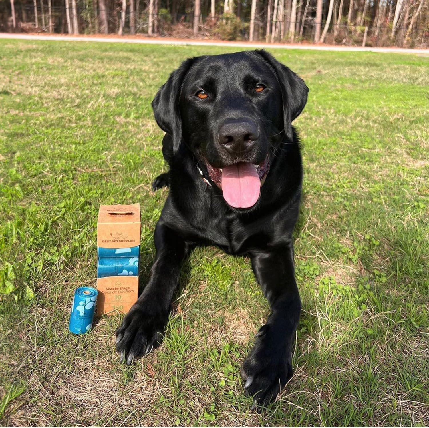 81AG-8F35L._AC_SL1500_.jpg 81AG-8F35L._AC_SL1500_.jpg