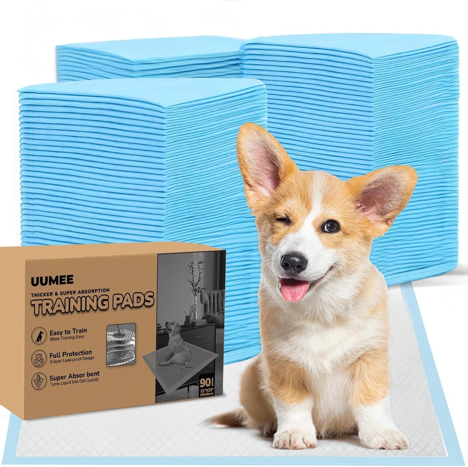 81Cq8craCL._AC_SL1500_.jpg 81Cq8craCL._AC_SL1500_.jpg