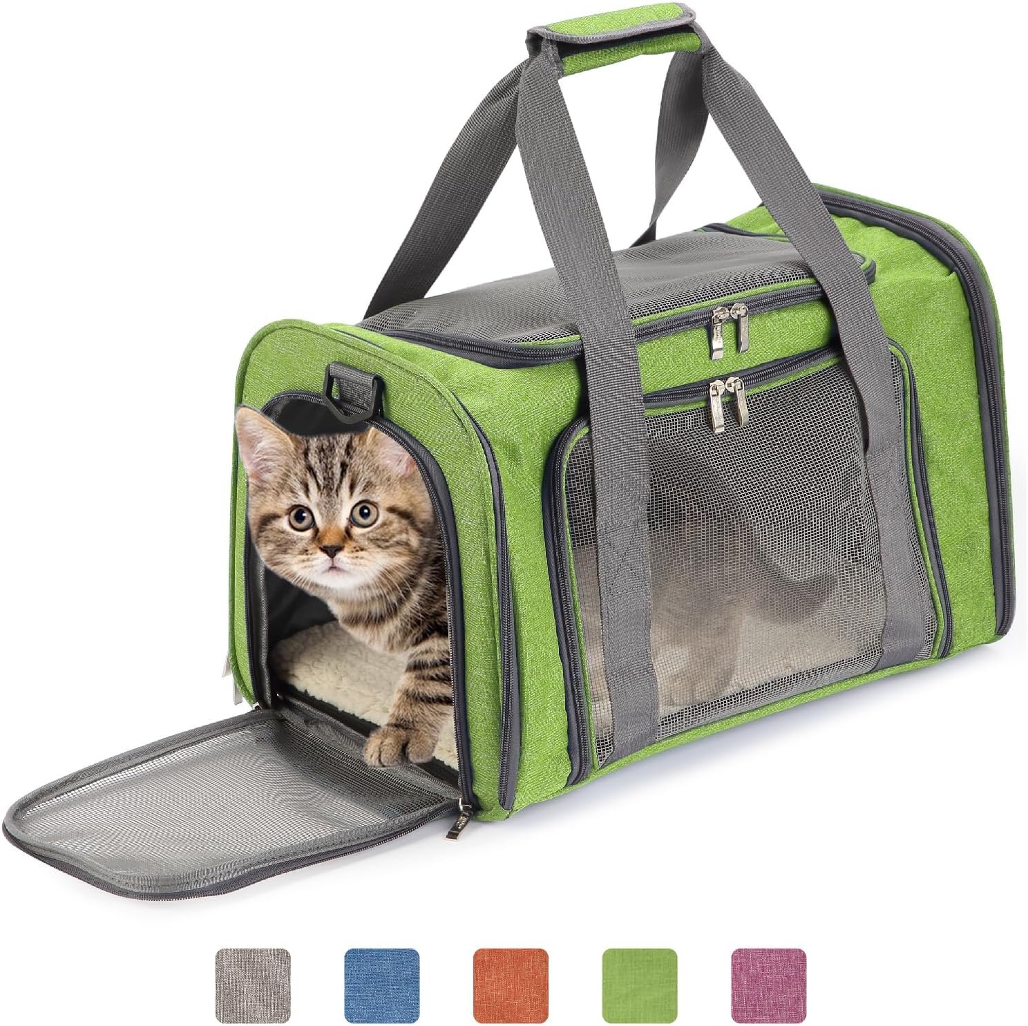 81G5bE5o4L._AC_SL1500_.jpg 81G5bE5o4L._AC_SL1500_.jpg