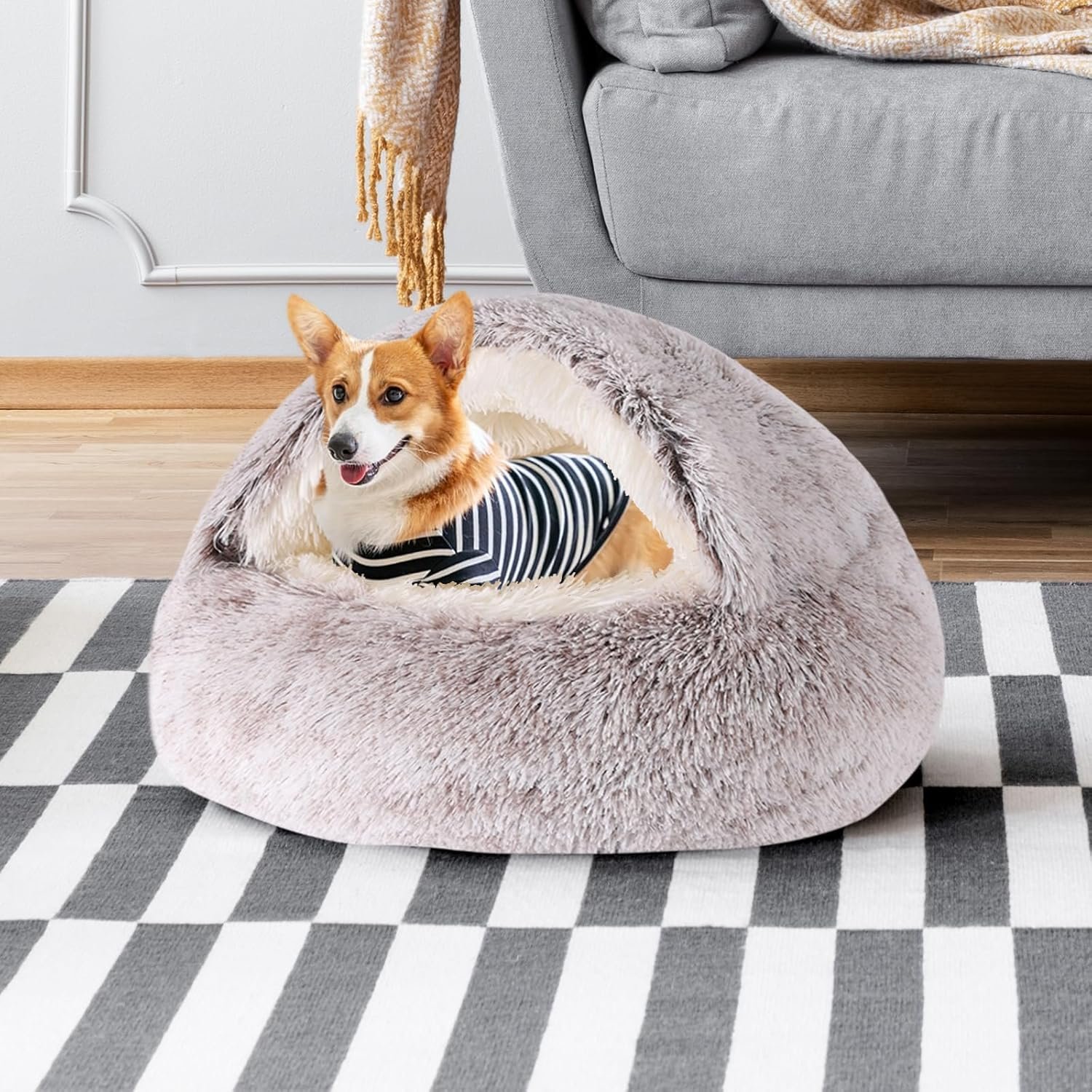 81IpRS86XYL._AC_SL1500_.jpg 81IpRS86XYL._AC_SL1500_.jpg