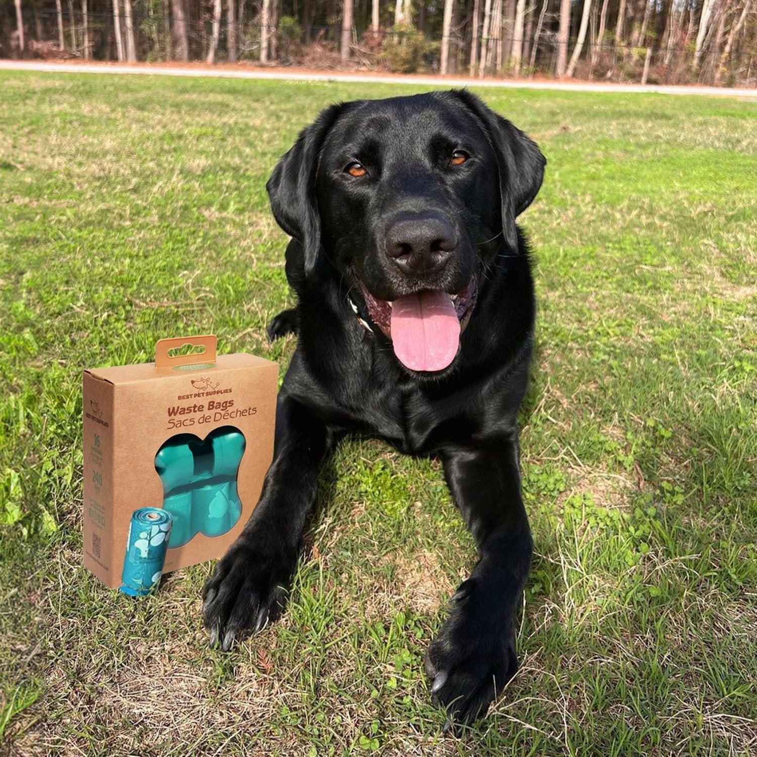 81JPQWK2XbL._AC_SL1500_.jpg 81JPQWK2XbL._AC_SL1500_.jpg