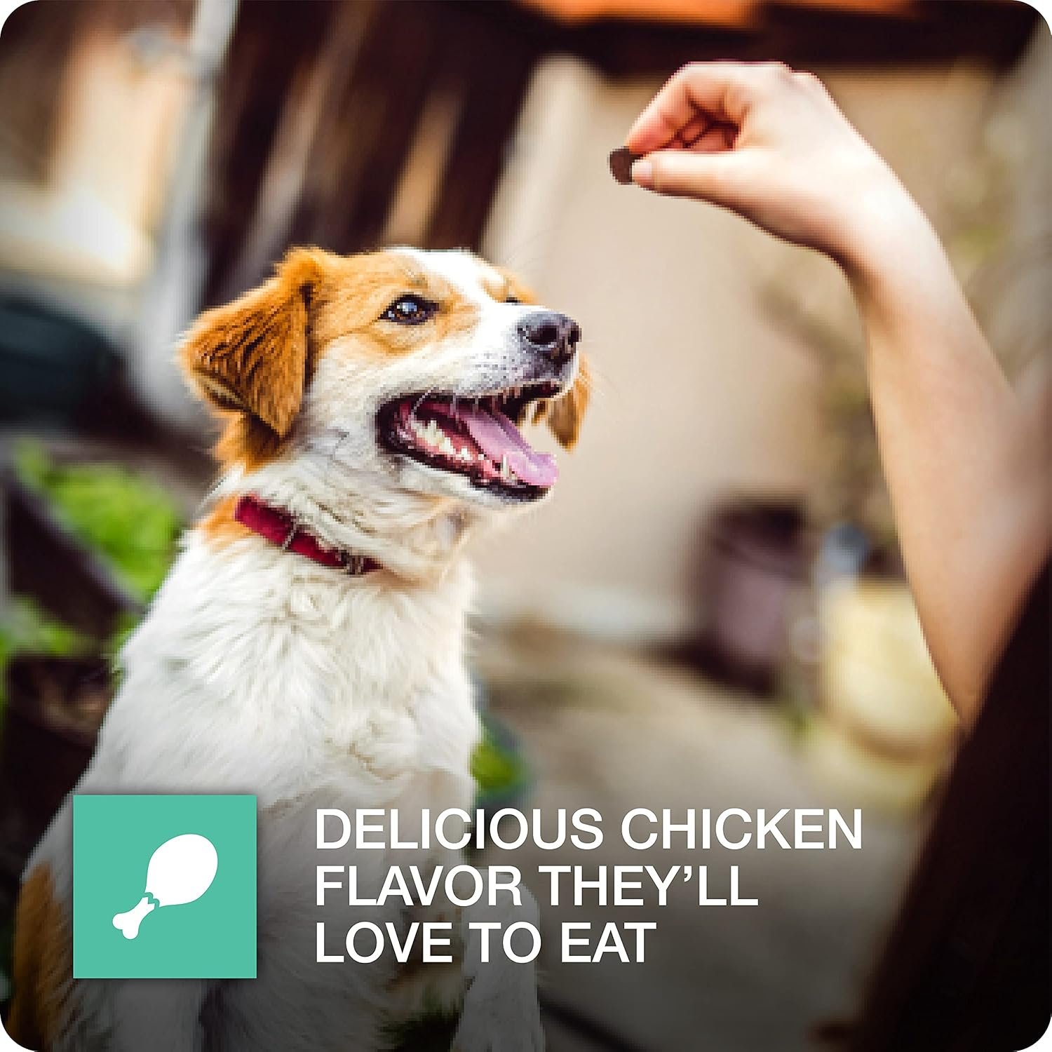 81KSwwIw1S._AC_SL1500_.jpg 81KSwwIw1S._AC_SL1500_.jpg