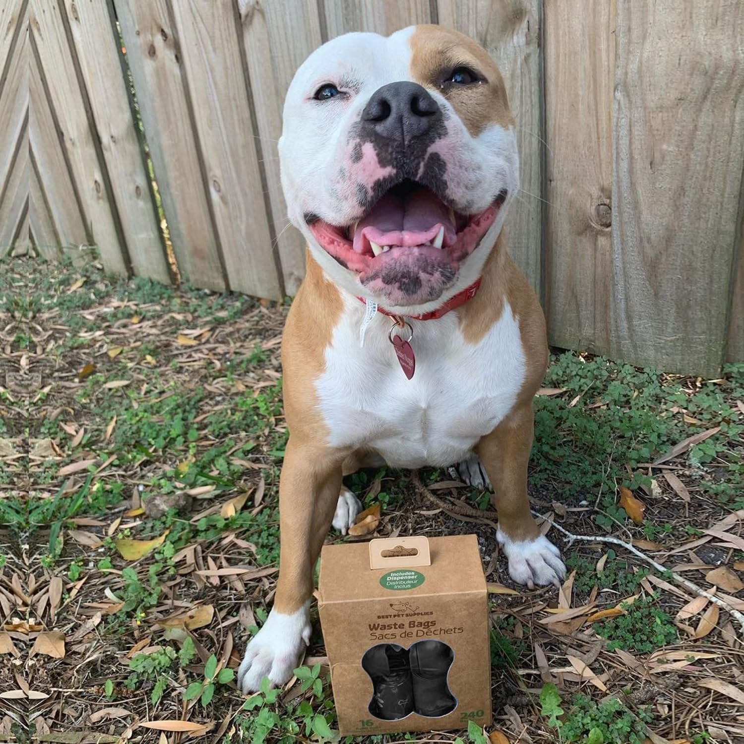 81Wr4bT5EjL._AC_SL1500_.jpg 81Wr4bT5EjL._AC_SL1500_.jpg