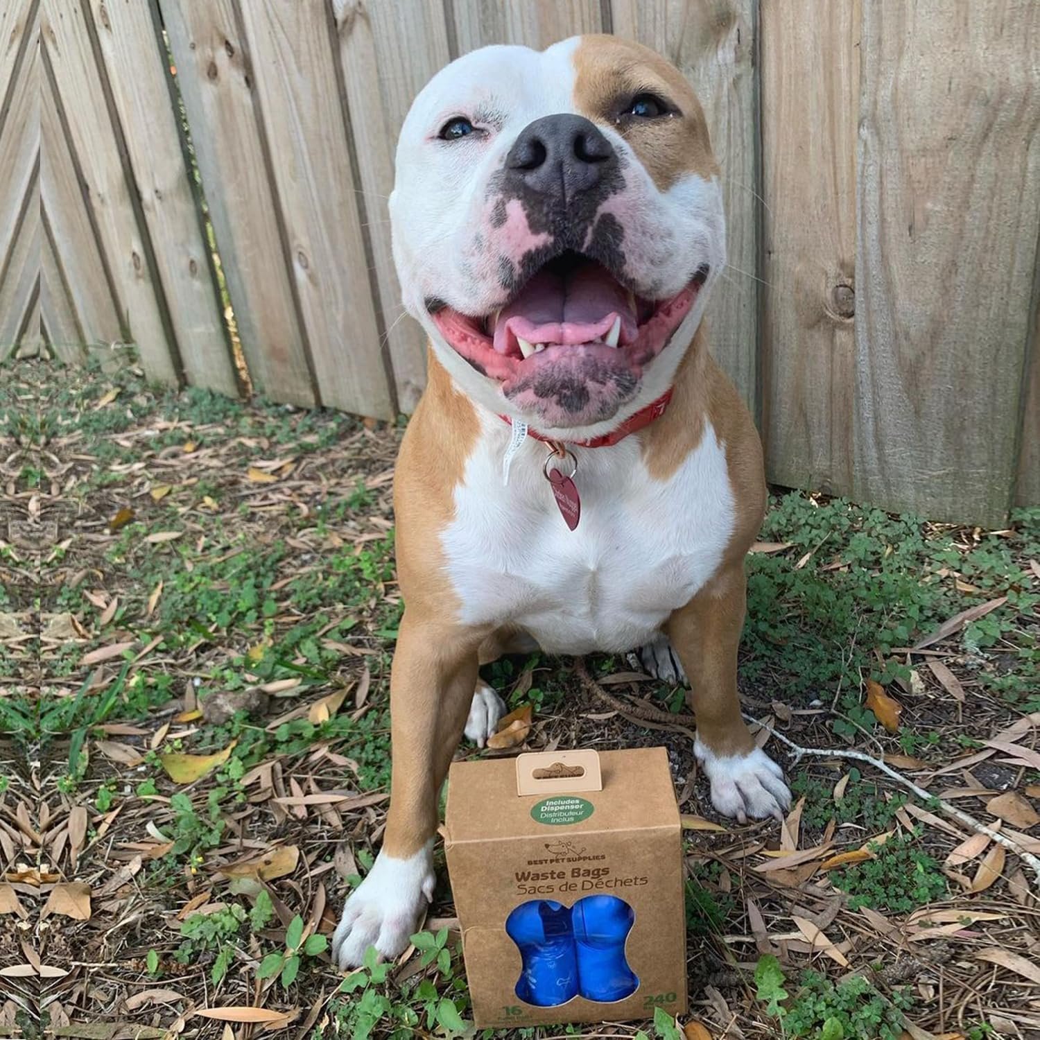 81X0CUoxLL._AC_SL1500_.jpg 81X0CUoxLL._AC_SL1500_.jpg