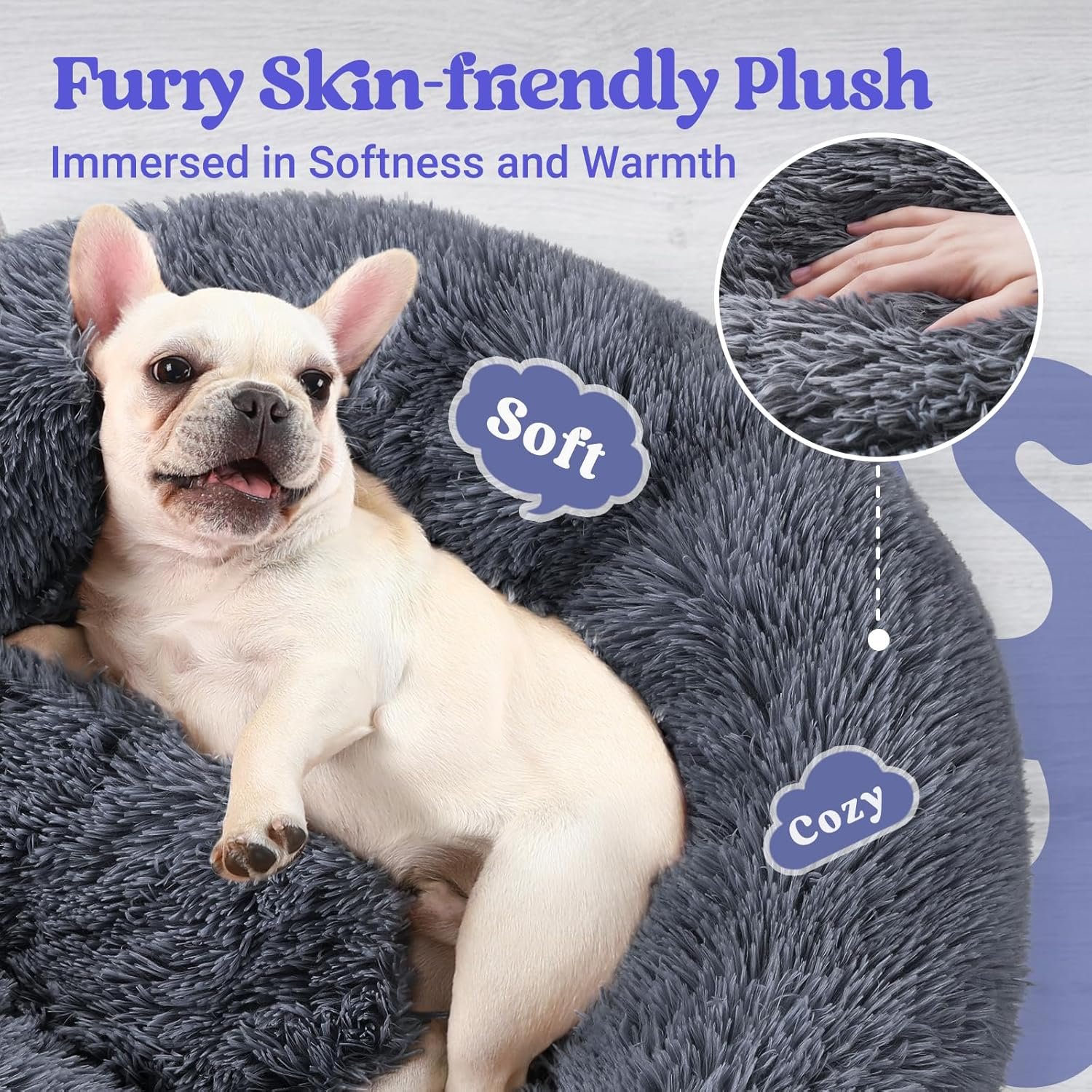 81ioi3Jy2L._AC_SL1500_.jpg 81ioi3Jy2L._AC_SL1500_.jpg