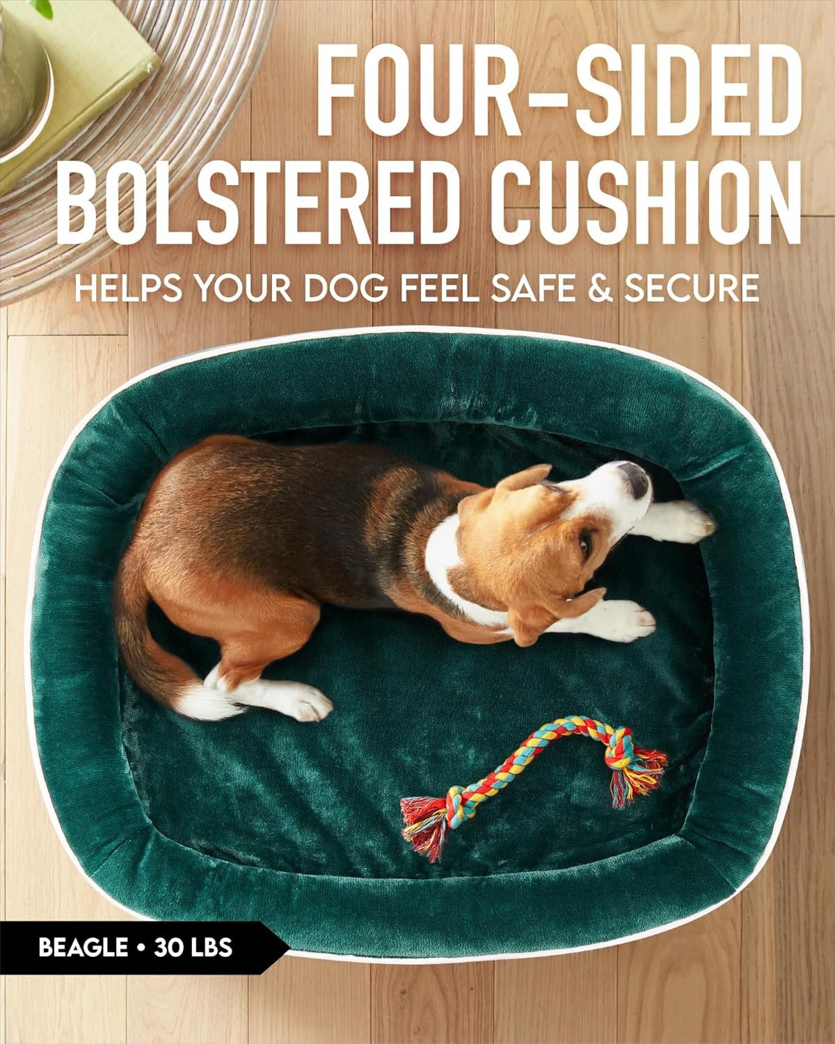 81jY0Gi9emL._AC_SL1500_.jpg 81jY0Gi9emL._AC_SL1500_.jpg