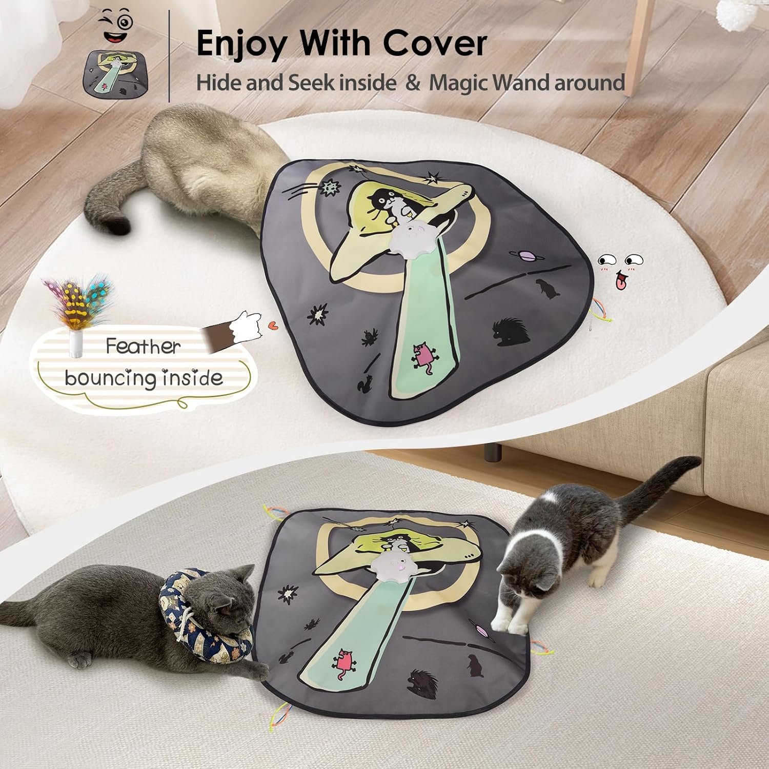 81meY5PImrL._AC_SL1500_.jpg 81meY5PImrL._AC_SL1500_.jpg